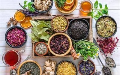 A concise and informative summary highlighting the circulatory benefits of powerful herbs such as ginger, garlic, and ginkgo biloba. This text explains how these natural remedies improve blood flow, reduce inflammation, and support heart health, while offering practical ways to incorporate them into daily routines for enhanced vitality.